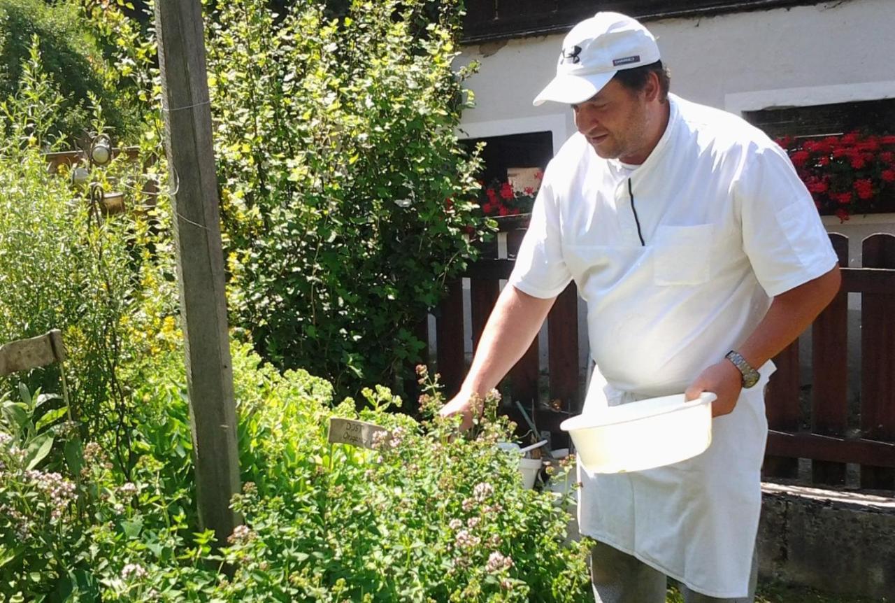 Bio-Bauernhof-Hotel Matlschweiger Lassing  外观 照片
